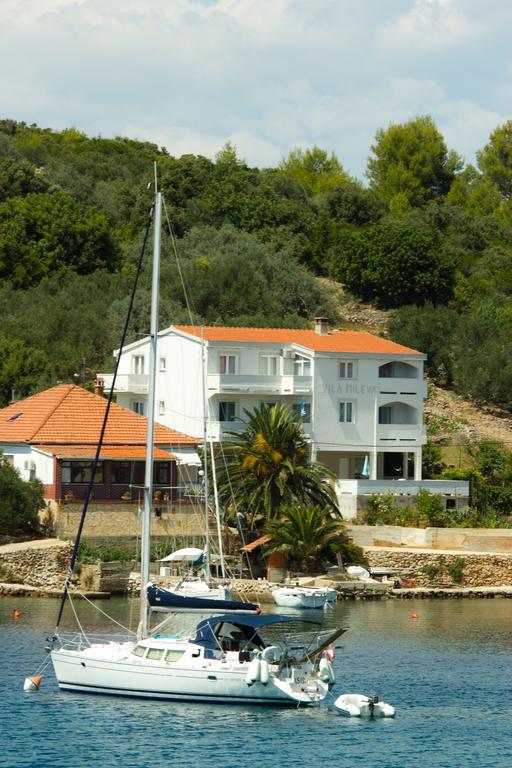 Apartment Apartments Vila Mileva Rava
