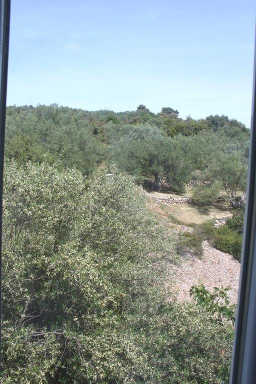 Mileva Apartament